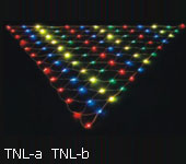 LED luce netta
KARNAR INTERNATIONAL GROUP LTD