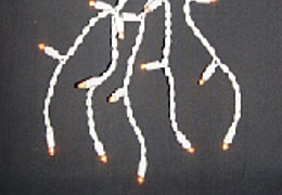 LED-kumikaapelin valo
KARNAR INTERNATIONAL GROUP LTD