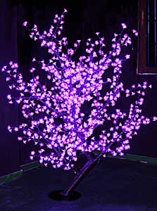 He maramara here a LED
KARNAR INTERNATIONAL GROUP LTD