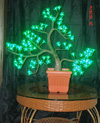 LED pine mti mwanga,Mwanga wa cherry ya LED,LED cherry mti mwanga miniascape 2,
Led-Cherry-Light-mini-02,
KARNAR INTERNATIONAL GROUP LTD