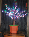 LED якшанбеи нурӣ,Гелос LED,Дарахти гелосӣ дарахти хурд 8,
Led-Cherry-Light-mini-08,
KARNAR INTERNATIONAL GROUP LTD